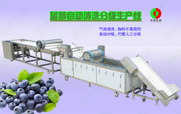 扬中蓝莓/蔬果全自动清洗分级生产线